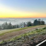 ristorante-pizzeria-brasserie-alessandria-valenza-unico_vista-panoramica-2